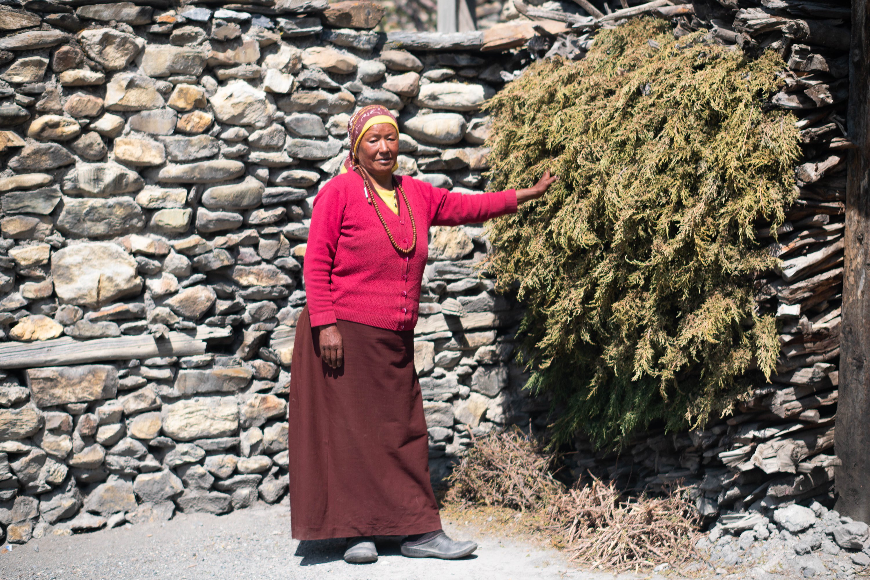 Buddhist Nun Tashi lama (3).jpg